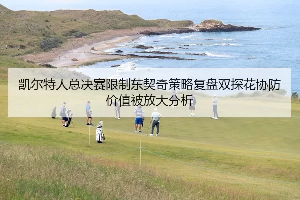 凯尔特人总决赛限制东契奇策略复盘双探花协防价值被放大分析