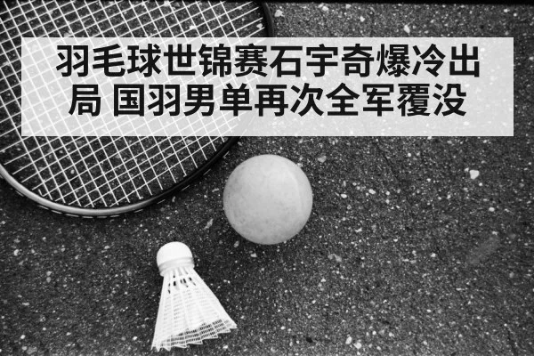 shiyuqi badminton